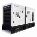 Generador Eléctrico Diesel 165kVA Trifasico Vielco